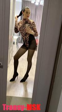 ���� ������������� ������� ���� Di TS �� ������ ������