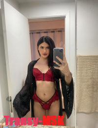���� ������������� Nikol �� ������ ������