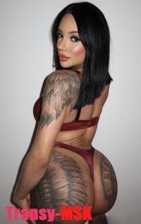 ���� ������������� DIANA �� ������ ������