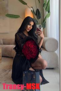 ���� ������������� ������ Elite �� ������ ������