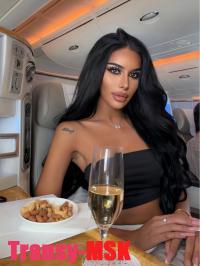 ���� ������������� ������ Elite �� ������ ������