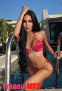 ���� ������������� ������ Elite �� ������ ������