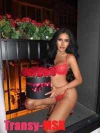 ���� ������������� ������ Elite �� ������ ������
